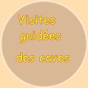 Visites Guidées